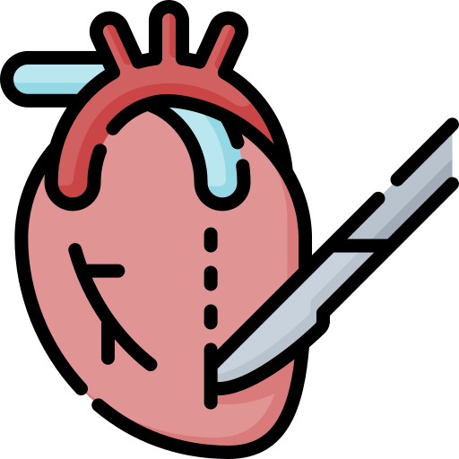 Heart Valve Surgery